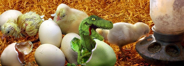 Creation of Newly Hatched Surprise: Step 14